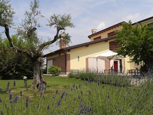 Agriturismo Anna Caterina Hotel Castelnuovo del Garda Esterno foto