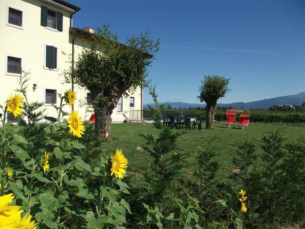Agriturismo Anna Caterina Hotel Castelnuovo del Garda Esterno foto